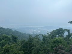 -岳麓山风景名胜区