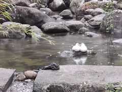 -梁野山景区