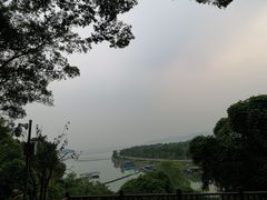 -上海市保健医疗中心