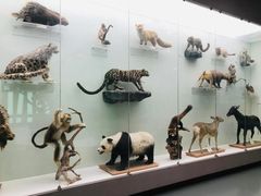 -国家自然博物馆