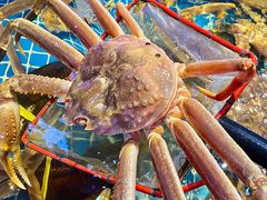 -驻海渔市(置信店)