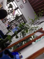 -V8潮牌·接发烫染连锁