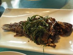 -碧丽宫大酒店(召稼楼店)
