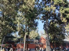 -洛阳白马寺