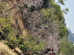 -聚龙山公园
