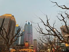 -徐家汇天主堂