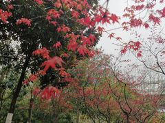 -后襄河公园