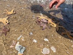 -石岛赤山风景区