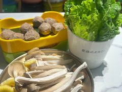 -菌小白·野生菌火锅(时尚天河店)
