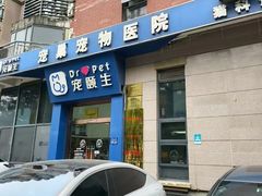 -宠颐生宠物医院·异宠猫科内科·诊疗中心宠巢店