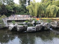 -芙蓉泉·烤鸡爪(芙蓉街店)