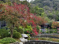 -云溪植物园