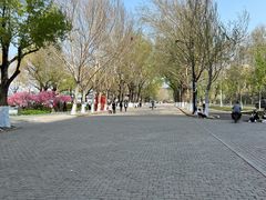 -人民防洪胜利纪念塔