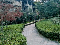 -良渚君澜度假酒店·中餐厅