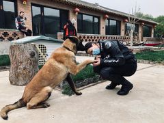 -老贾火勺