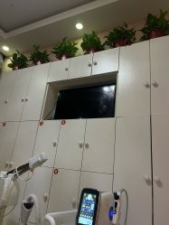 -香薇妮丝·定制减肥·身材管理
