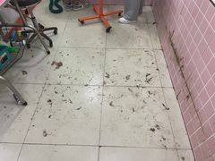 -贵宾之家宠物生活店(城阳店)