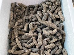 M6有机淡干海参-宫品海参专卖店(静安大宁店)
