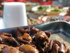 -龙小海荆沙鸽子店(瑞安街店)