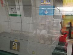 -竹子林(地铁站)