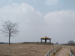 -大塘金香草谷
