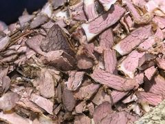 -磨沟沿老字号牛肉面·清真(金港城店)