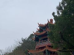 -神光山国家森林公园