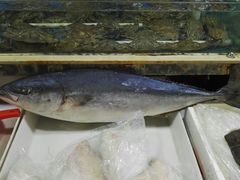 -韩家墅海吉星农产品批发市场