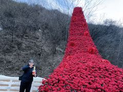 -少华山国家森林公园
