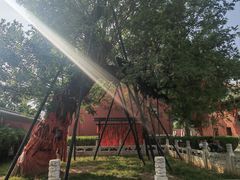 -药王庙(安国市)