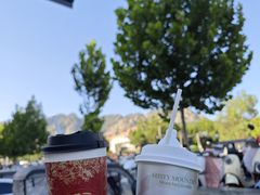 -雾与山茶(大禹城店)