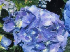 -首开·龙湖成都西宸天街