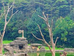 -杭州野生动物世界