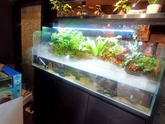 -牛品福潮汕牛肉火锅(旺庄店)