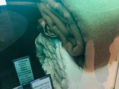 -舟山希尔顿酒店