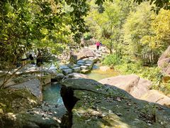 -广州白江湖森林公园