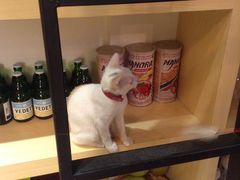 IMG_4346-MIKAKU(万达广场上海宝山店)