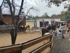 -HERRE·FARM 赫尔露营农场·团建聚会包场