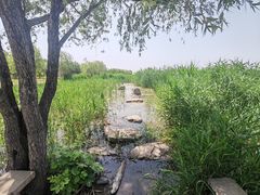 -绿堤公园
