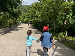 -阳台山自然风景区