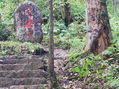 -五营红松林海景区