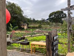 -清水湖度假村(罗浮山美食地标店)
