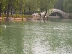 -达活泉公园