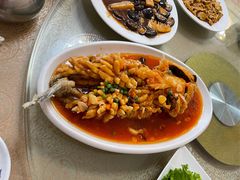 松鼠鲈鱼-老苏扬饭店