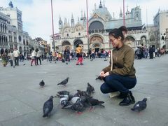 -圣马尔谷圣殿宗主教座堂