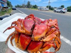 -岛中岛·海鲜大排档·万宁老字号(东澳店)