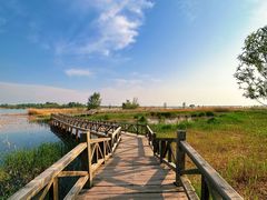 -野鸭湖国家湿地公园