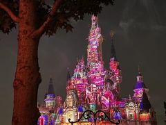 -上海迪士尼度假区