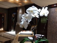 -上海凯宾斯基大酒店