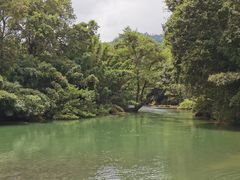 -九曲溪竹筏码头